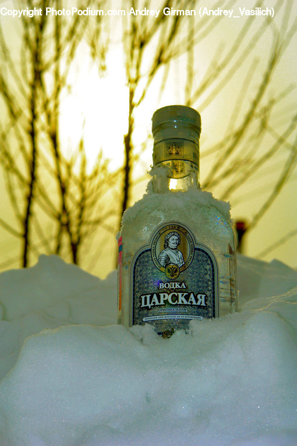 Jar, Alcohol, Beverage, Cocktail, Gin, Liquor, Beer