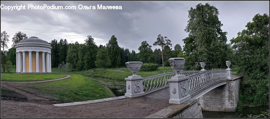 Bridge, Park, Forest, Jungle, Rainforest, Vegetation, Plant