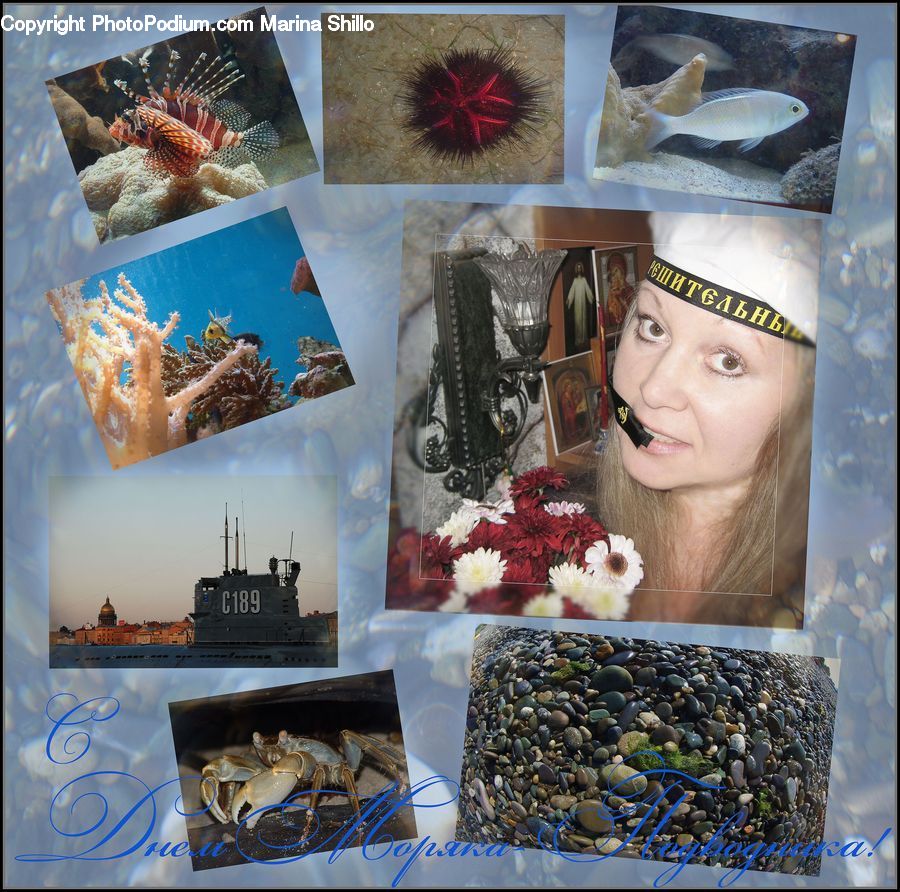 Collage, Poster, Classroom, Mail, Postcard, Art, Indoors