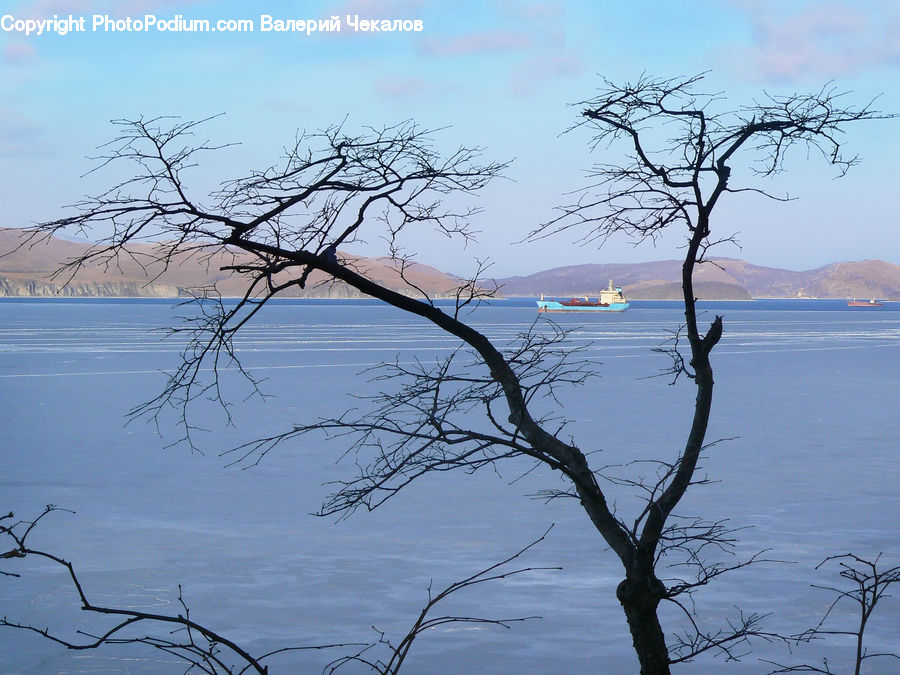Landscape, Nature, Scenery, Plant, Tree, Outdoors, Sea