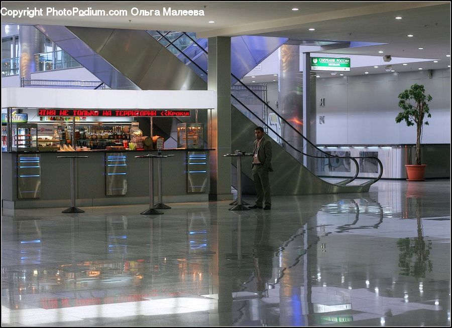 Plant, Potted Plant, Airport Terminal, Terminal, Architecture, Convention Center