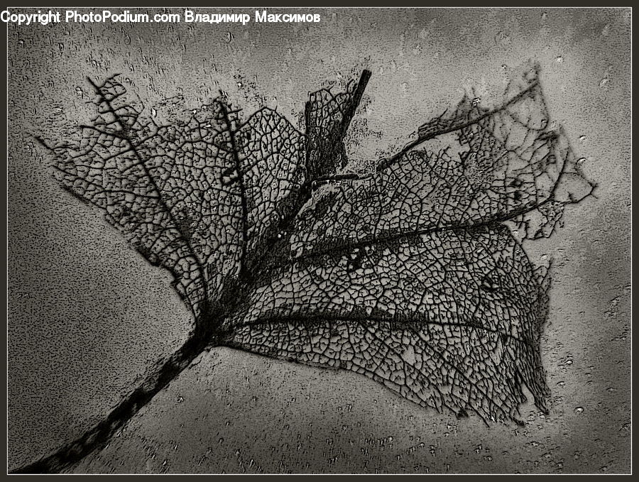 Drawing, Sketch, Doodle, Bench, Plant, Cushion, Home Decor