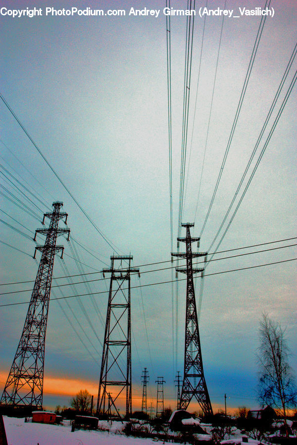 Cable, Electric Transmission Tower, Power Lines, Plant, Tree, Silhouette, Oak