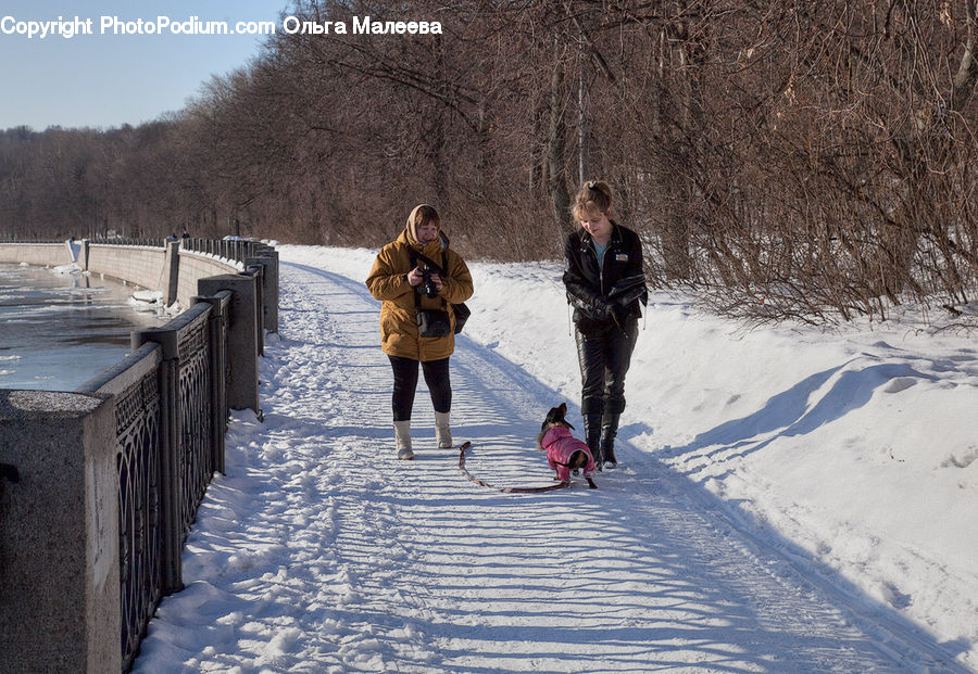 Human, People, Person, Piste, Slide, Snow, Snowboarding