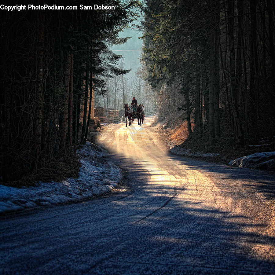 Dirt Road, Gravel, Road, Path, Walkway, Asphalt, Tarmac