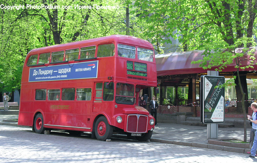 Bonsai, Plant, Potted Plant, Tree, Bus, Double Decker Bus, Vehicle