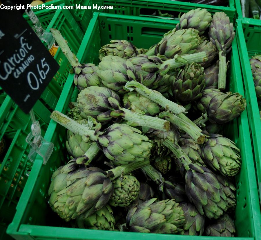 Artichoke, Plant, Market, Produce, Vegetable, Acanthaceae, Annonaceae