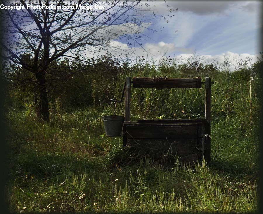 Bench, Chair, Furniture, Field, Grass, Grassland, Plant