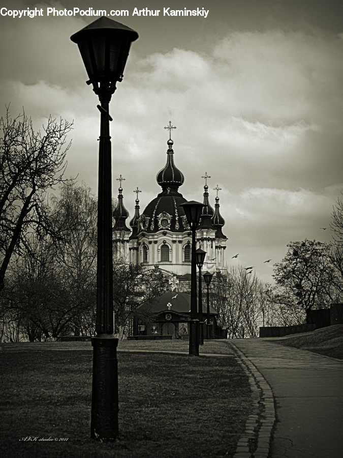 Plant, Tree, Lamp Post, Pole, Beacon, Building, Lighthouse