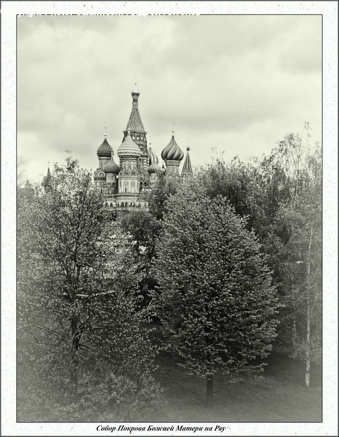 Architecture, Cathedral, Church, Worship, Castle, Fort, Bush