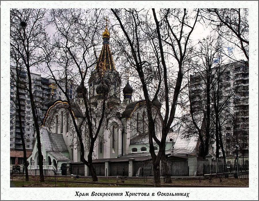 Collage, Poster, Architecture, Cathedral, Church, Worship, Plant