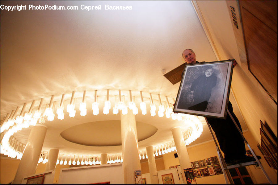 Computer, Electronics, LCD Screen, Laptop, Pc, Indoors, Interior Design