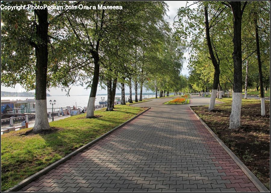 Path, Sidewalk, Walkway, Boardwalk, Pavement, Road