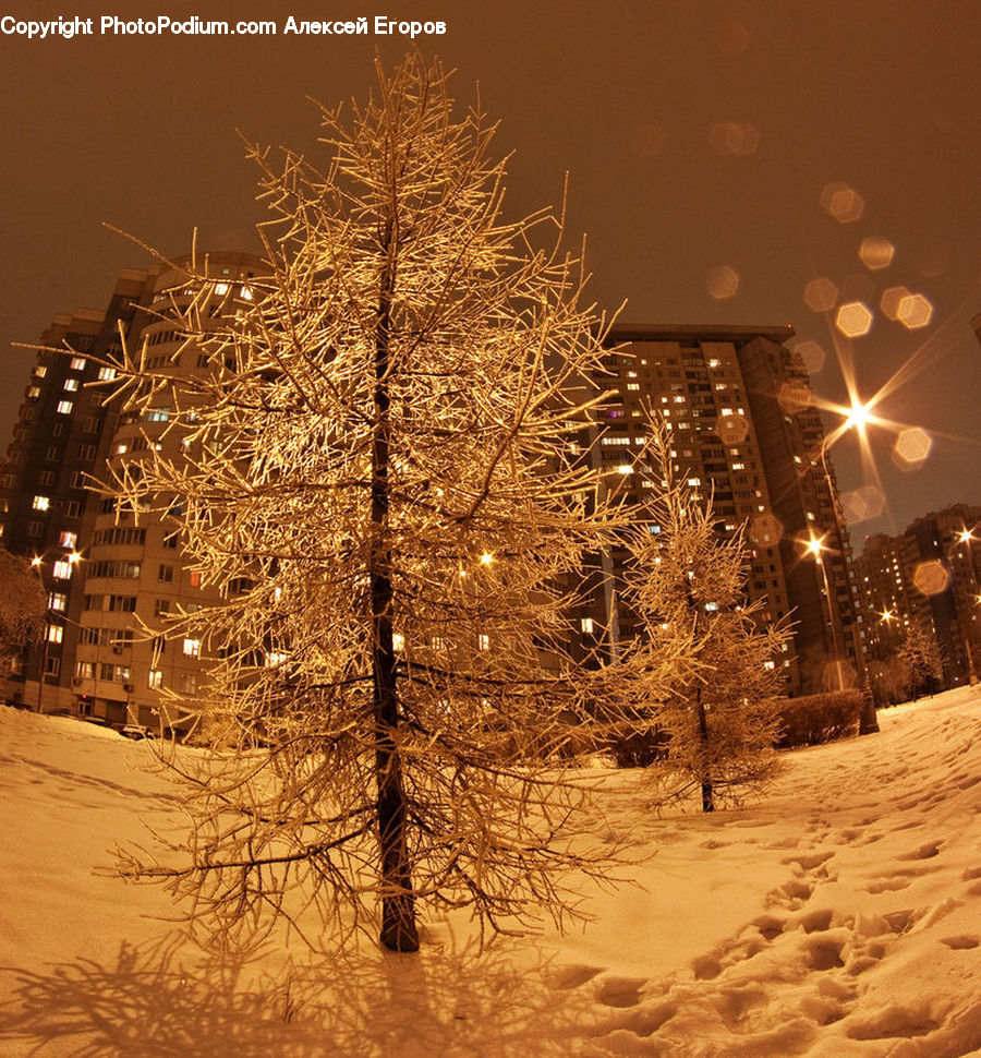 Blizzard, Outdoors, Snow, Weather, Winter, Landscape, Nature