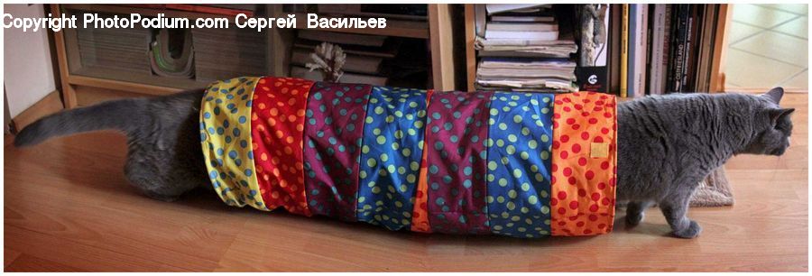 Animal, Cat, Mammal, Pet, Cushion, Home Decor, Pillow