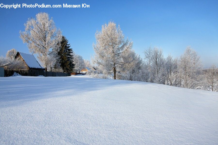 Landscape, Nature, Scenery, Ice, Outdoors, Snow, Conifer