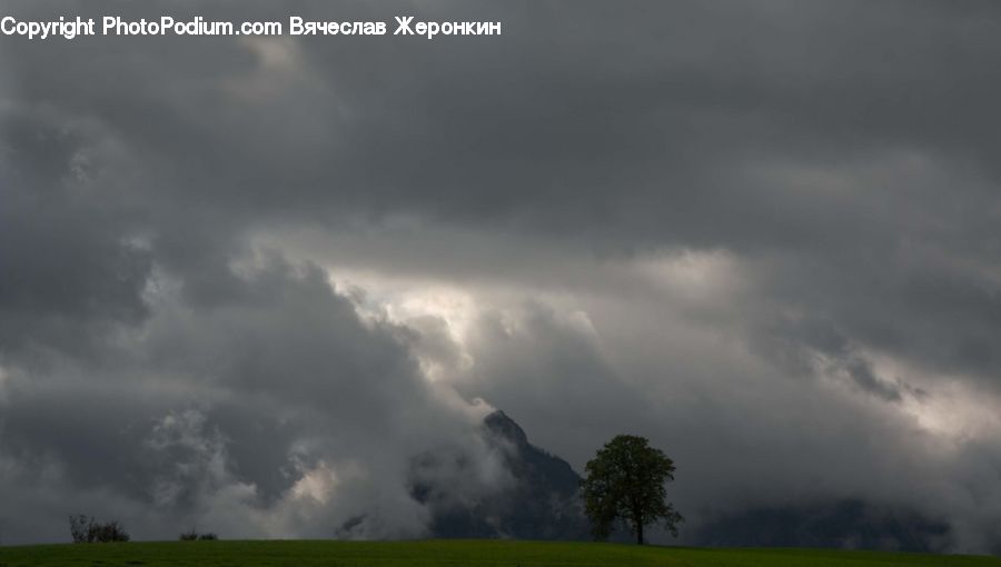 Outdoors, Storm, Weather, Plant, Tree, Field, Grass