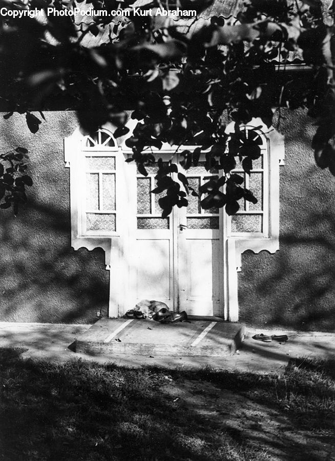 Tomb, Silhouette, Ivy, Plant, Vine, Collage, Poster