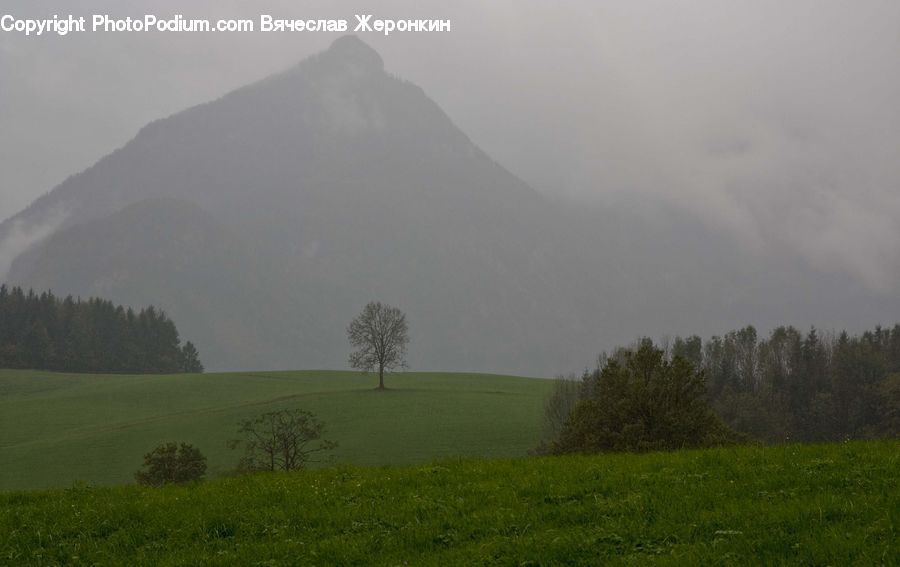 Field, Grass, Grassland, Land, Outdoors, Alps, Crest