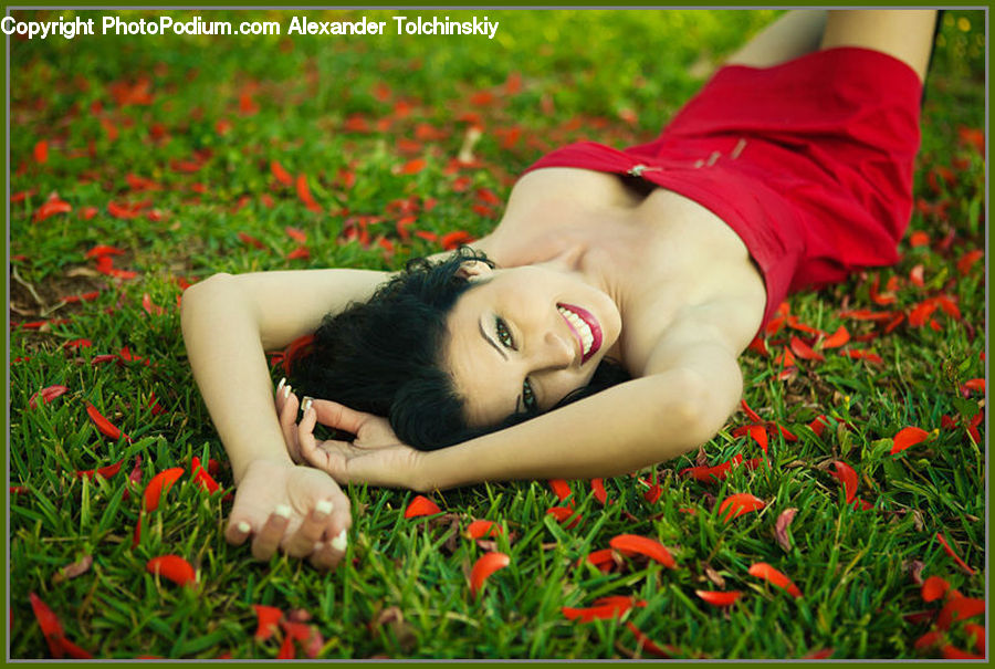 Blossom, Flora, Flower, Plant, Tulip, Poppy, Field