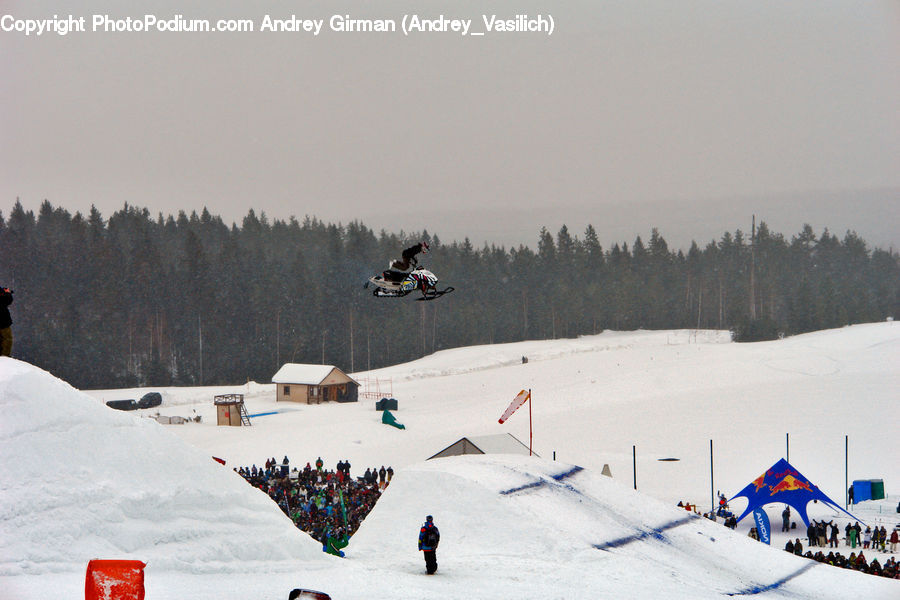 Piste, Skiing, Slide, Snow, Sport, Arctic, Winter