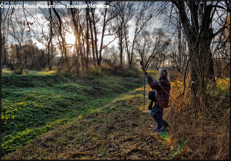 People, Person, Human, Hunting, Forest, Grove, Land