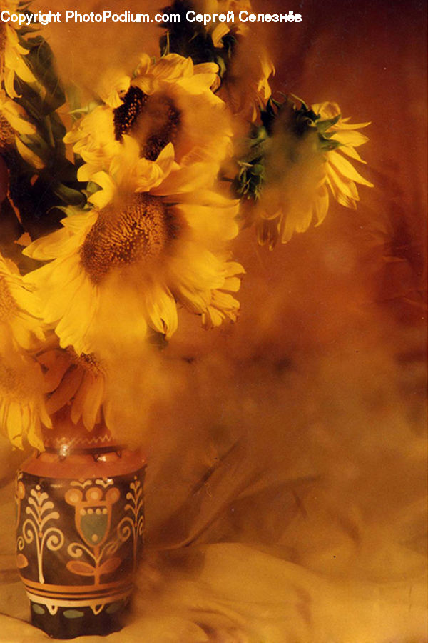 Blossom, Flora, Flower, Plant, Sunflower, Pollen, Andrena