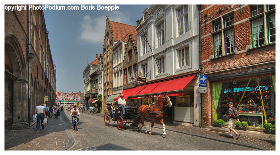 Animal, Horse, Mammal, Buggy, Carriage, Horse Cart, Wagon