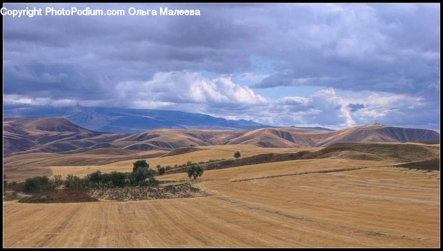 Field, Grass, Grassland, Land, Outdoors, Dirt Road, Gravel