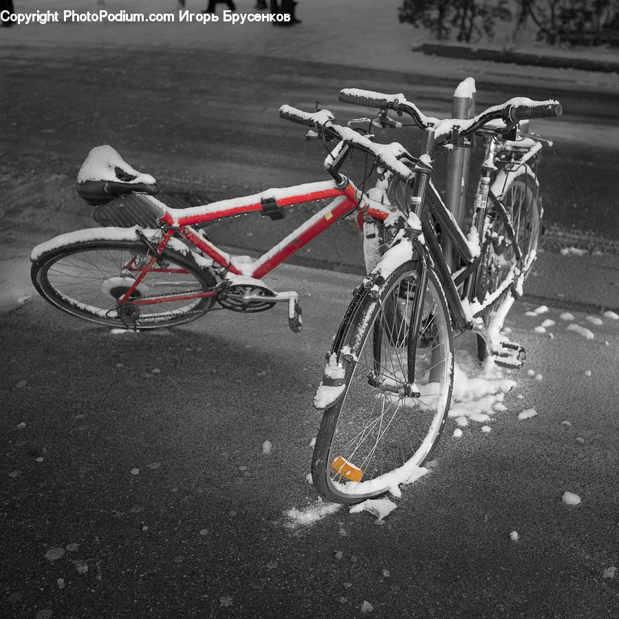 Bicycle, Bike, Vehicle, Asphalt, Tarmac, Cyclist, Mountain Bike