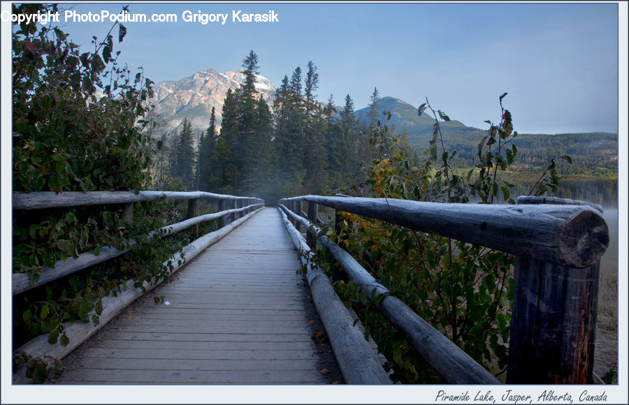 Boardwalk, Deck, Path, Sidewalk, Walkway, Dirt Road, Gravel