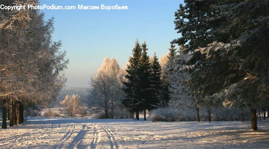 Frost, Ice, Outdoors, Snow, Landscape, Nature, Scenery