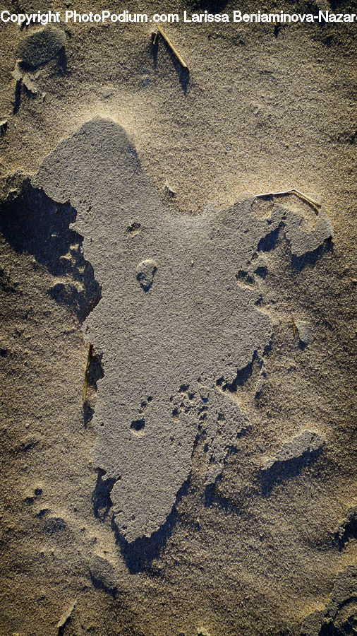 Outdoors, Sand, Soil, Footprint, Ground