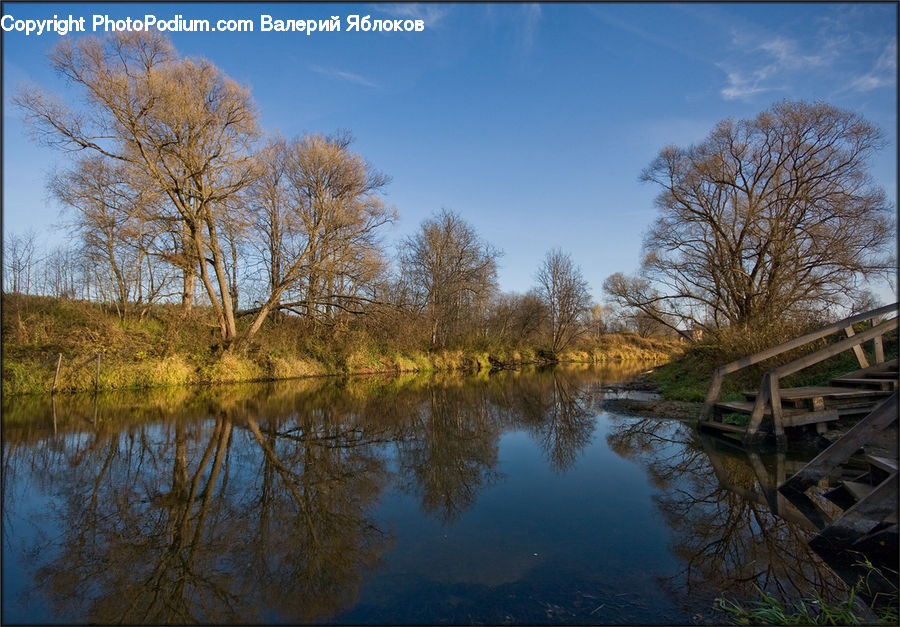 Bridge, Land, Marsh, Outdoors, Swamp, Water, River