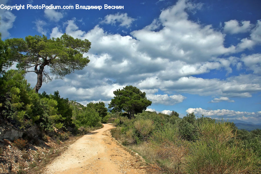 Dirt Road, Gravel, Road, Landscape, Nature, Scenery