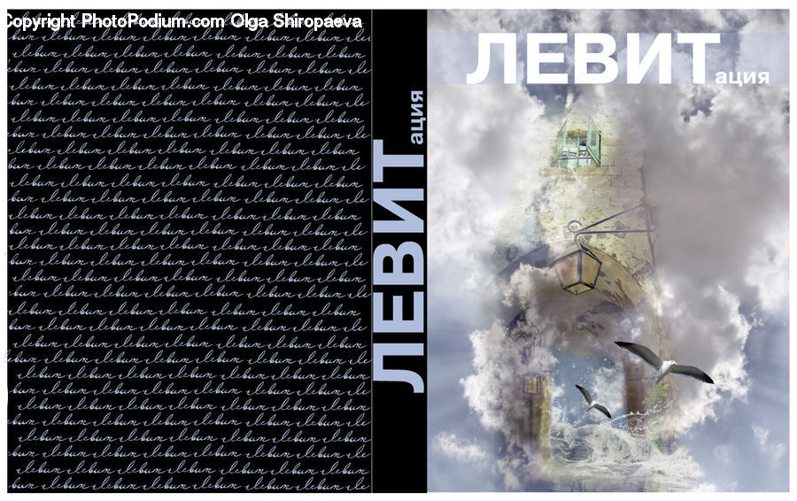 Brochure, Flyer, Poster, Paper, Bird, Magazine, Label
