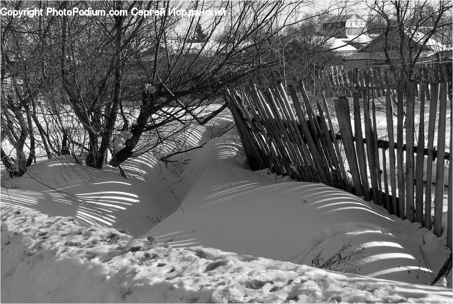 Playground, Outdoors, Sand, Soil, Forest, Vegetation, Plant