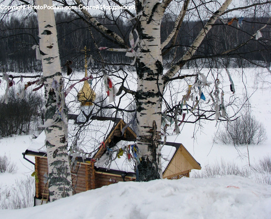 Ice, Outdoors, Snow, Art, Modern Art, Piste, Skiing