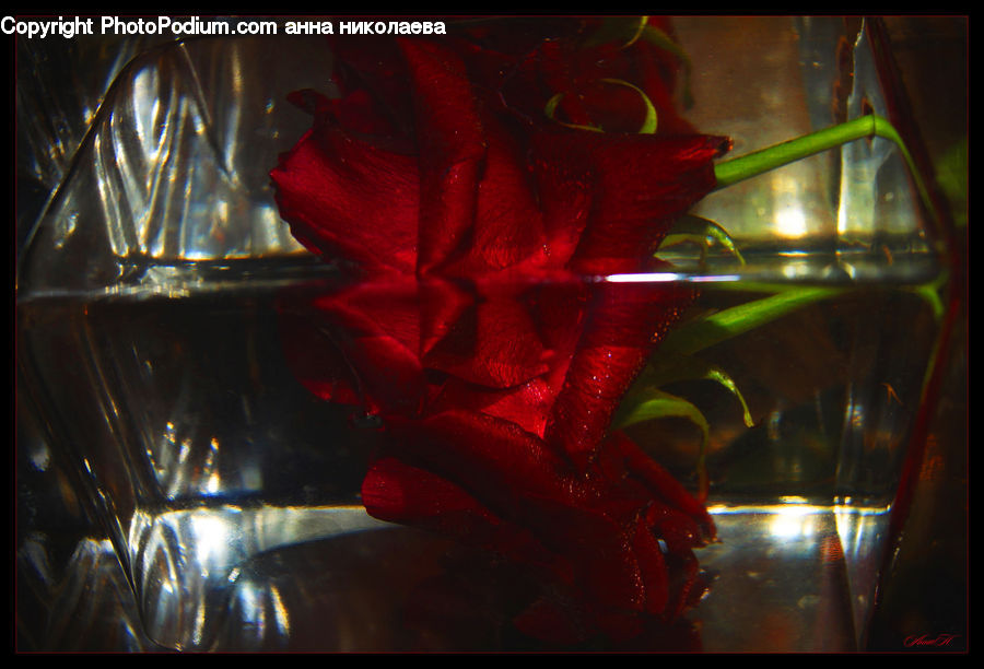 Glass, Goblet, Beverage, Drink, Art, Modern Art