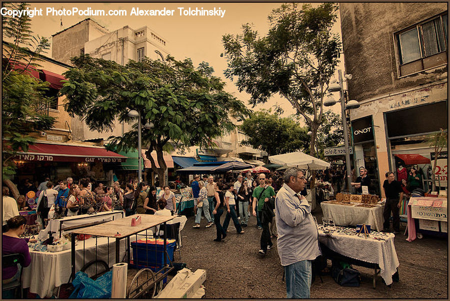 People, Person, Human, Plant, Potted Plant, Bazaar, Market