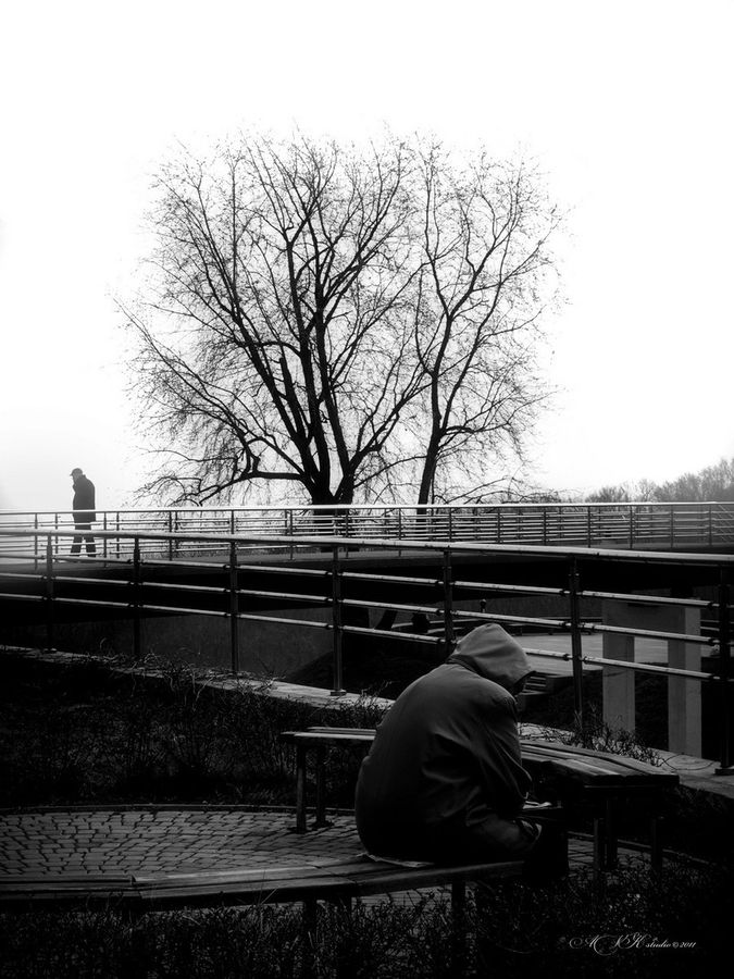 Bench, Plant, Tree, City, Downtown, Urban