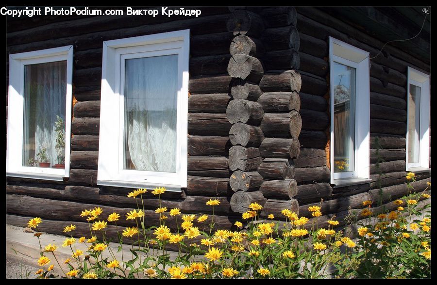 Building, Cottage, Housing, Window, Deck, Porch, Rock