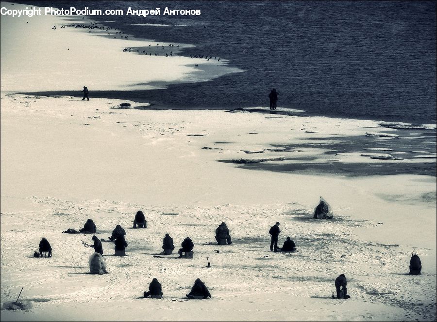 Arctic, Ice, Outdoors, Snow, Winter, Beach, Coast