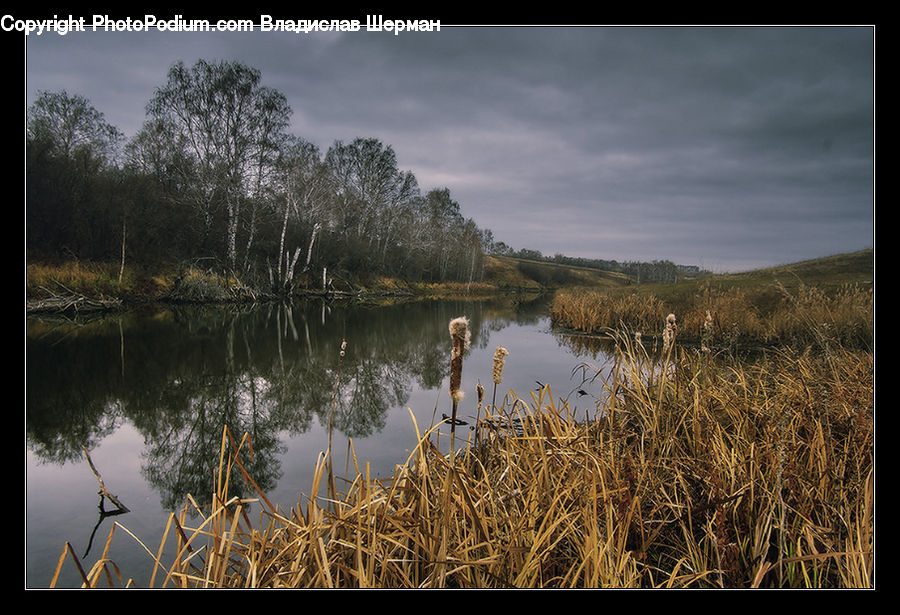 Lake, Outdoors, Water, Field, Grass, Grassland, Plant