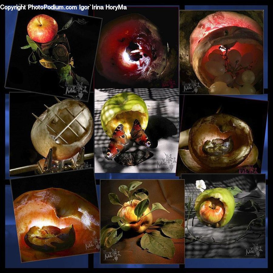 Apple, Fruit, Collage, Poster, People, Person, Human