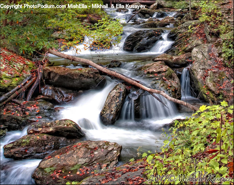 Creek, Outdoors, River, Water, Waterfall, Ivy, Plant