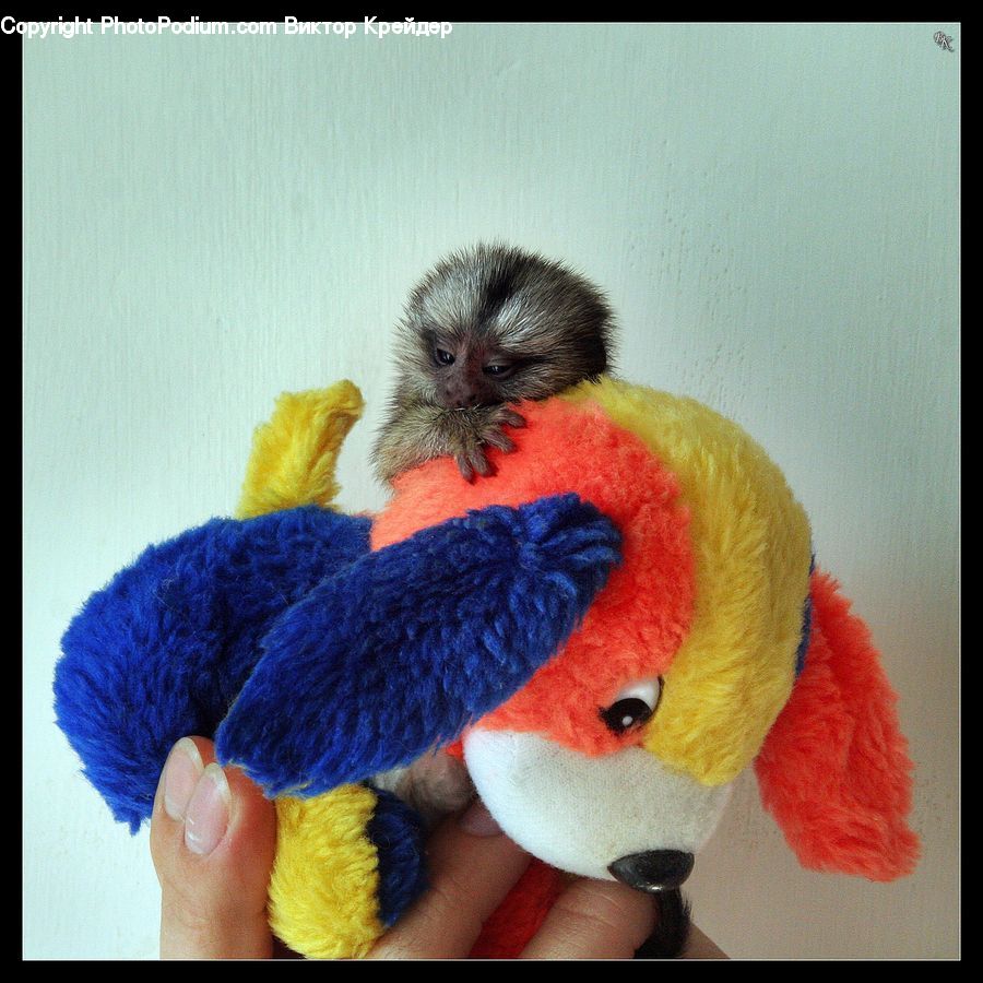 People, Person, Human, Beak, Bird, Costume
