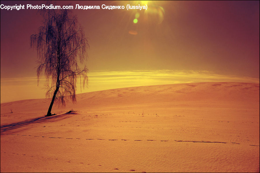 Desert, Outdoors, Dirt Road, Gravel, Road, Beach, Coast