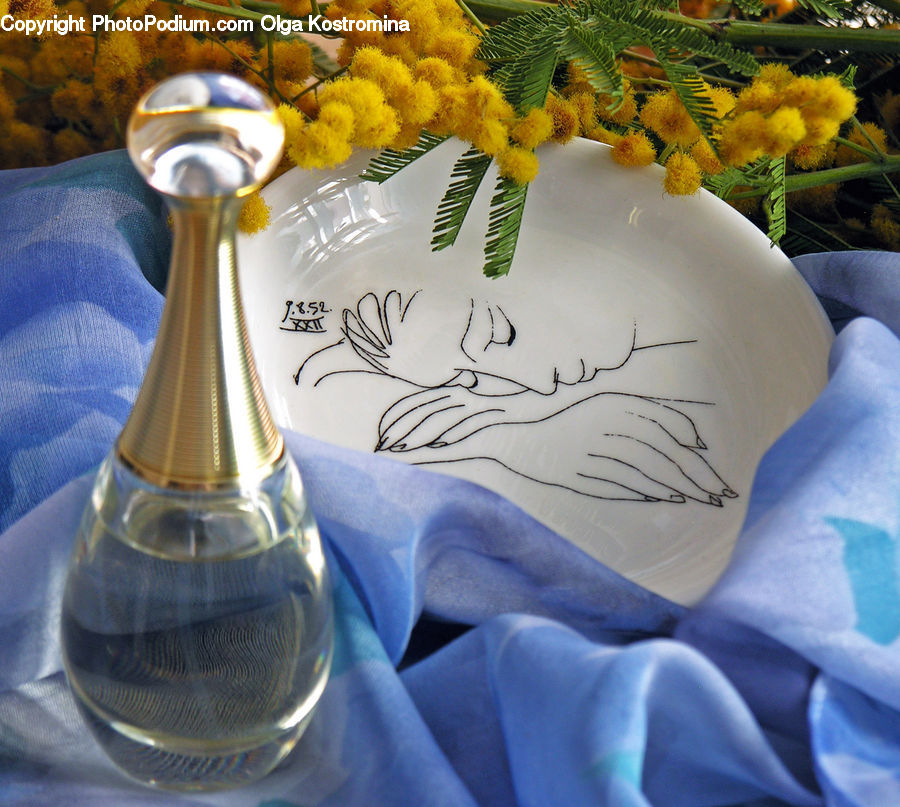 Flower, Mimosa, Plant, Potted Plant, Glass, Goblet, Cushion