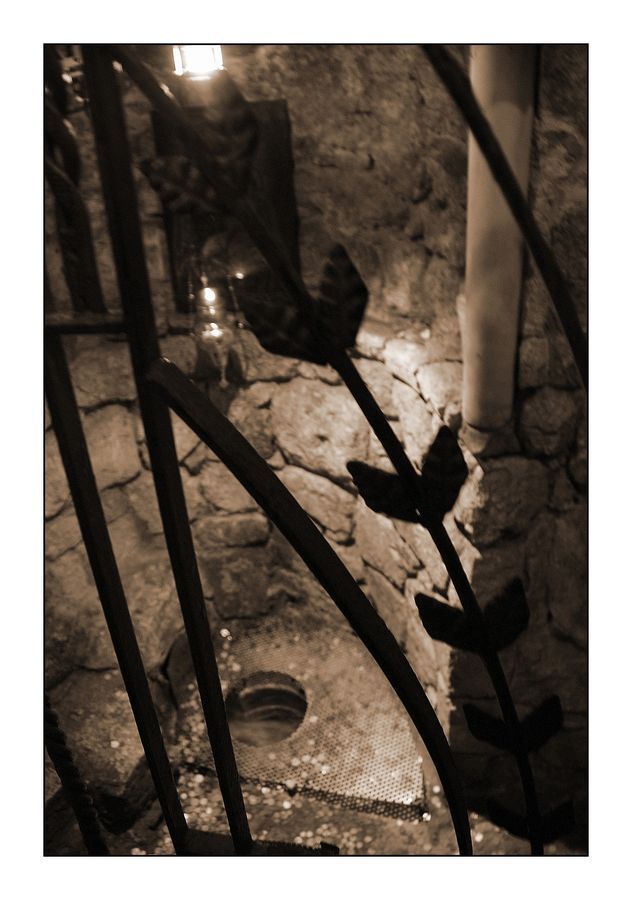 Banister, Handrail, Rock, Rubble, Ground, Soil, Plant